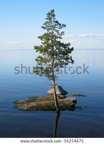 Alone Island