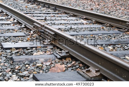 Cross ties and rails gone far away