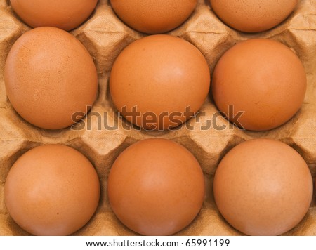 Background from eggs in carton box. Closeup