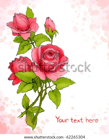 red rose drawing. with drawing of red rose