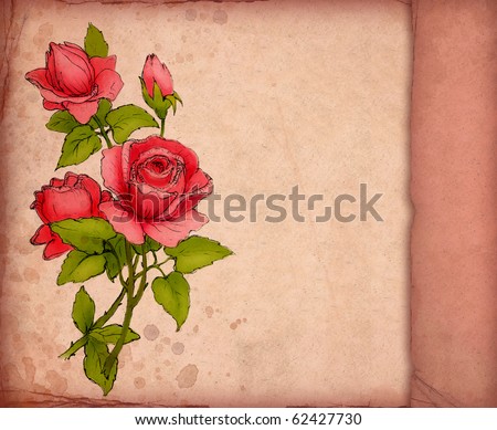 red rose drawing. with drawing of red rose