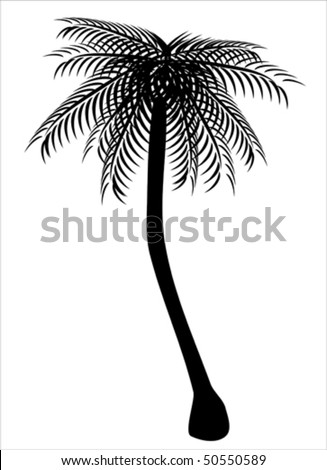 palm tree silhouette clip art. stock vector : Black palm tree