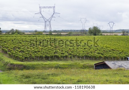 High-voltage power transmission lines of the French vineyards. Agriculture close to the industry concept. Cloudy autumn day, Soft art focus