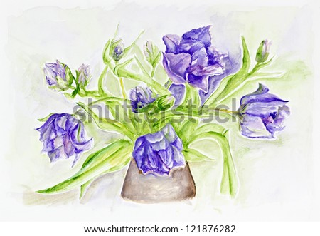 Tulips  rare blue  spring flowers bouquet in ceramic pot - handmade watercolor  painting illustration on a white paper art background