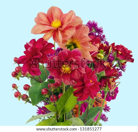minimalistic red  bouquet on cyan background