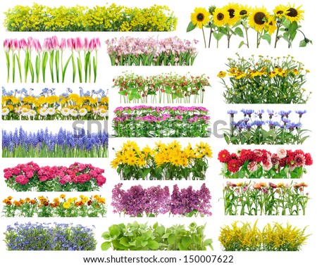Summer flowers bed and floral borders set collage. All full size ...