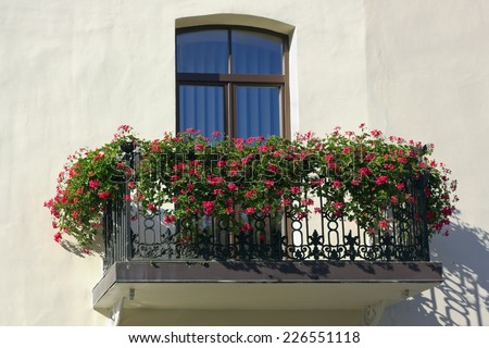 Ideal balcony, window, flowers and wall. Perfect city details. Sunny day