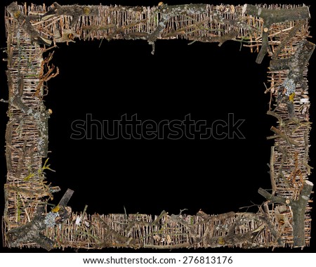 The frame for images on Halloween is made of ugly terrible dead branches. Art collage isolated on black