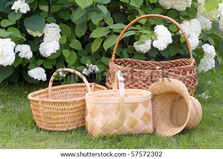 Set of wattled rural baskets against the Hydrangea bush.