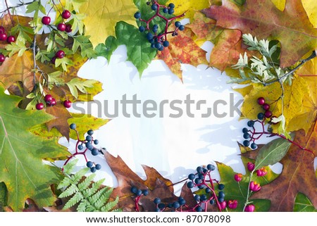 Sunlight and shades of autumn days concept. October leaves on white table. Sunny day