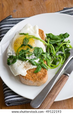 Toast with fried egg and spinach