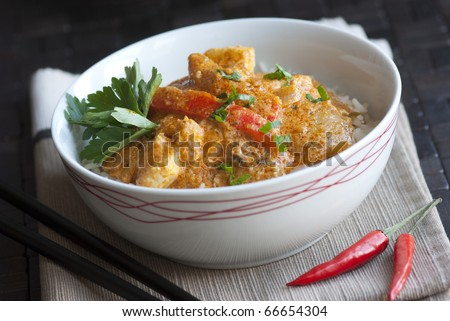 chicken curry with rice. chicken curry with rice