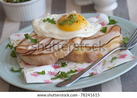 Toasted bread with melted cheese, ham and fried egg