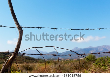Barbed wire fence in counryside.