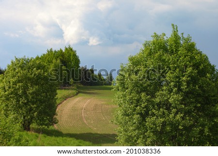 Green field in late spring.