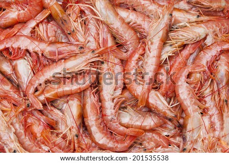 Raw seafood in fish market.