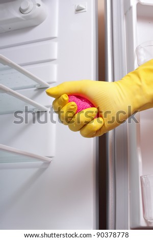 Hand cleaning refrigerator.