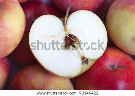 Half of apple on apples.