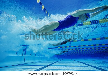 Female participants swimming underwater during a swimming race