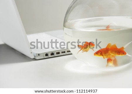 Laptop and goldfish in bowl on table