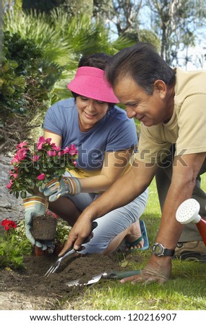 Happy middle aged man digging while woman holding flower plant in garden