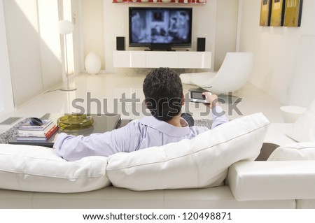 Rear view of a man watching television in living room