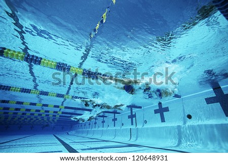 Professional Caucasian female swimmers swimming in pool