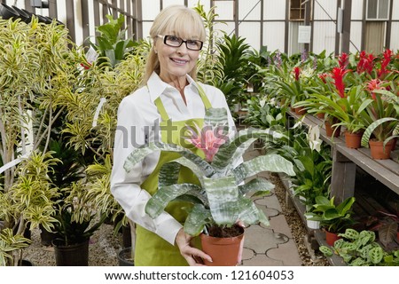 Portrait of a middle-aged gardener holding pot plant in garden center
