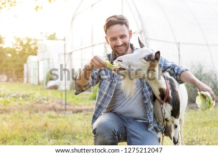 Smiling mid adult man feeding cabbage to goat at farm