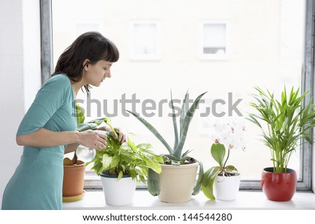Young Businesswoman Sprays Plants In Flowerpots By Window