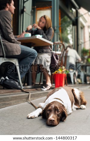 Blurred Young Couple At Cafe With Dog Resting On Sidewalk