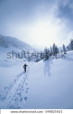 Rear view of skier walking through snow mountains