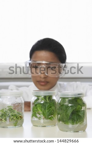 Female scientist examining jars containing plant material on table in laboratory
