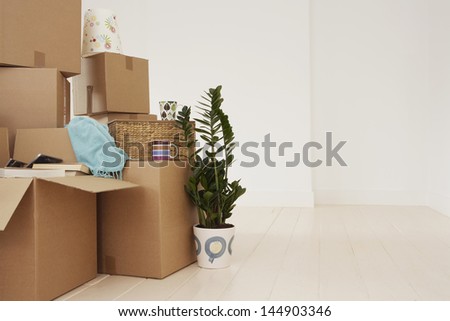 Stack Of Moving Boxes And Pot Plant In New House