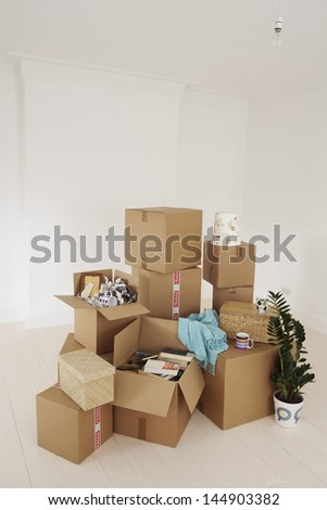 Stack of moving boxes and pot plant in new house