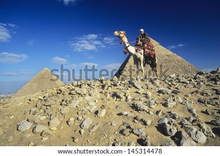 Low angle view of a camel rider by pyramids of Giza