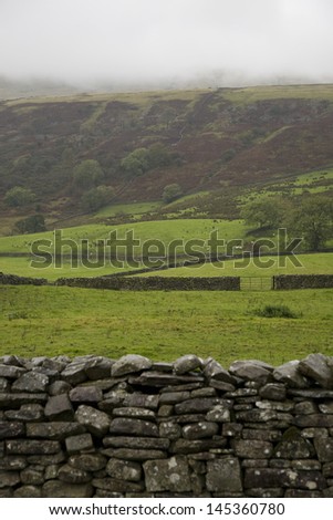 Fields in Yorkshire Dales Yorkshire England