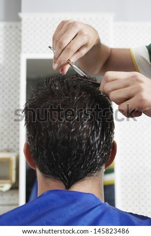 Rear view closeup of hairdresser cutting male customer\'s hair