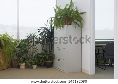 View of potted plants by office window