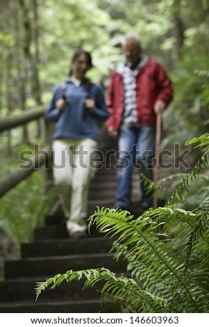 Blurred middle aged couple on forest stairs with focus on fern in foreground