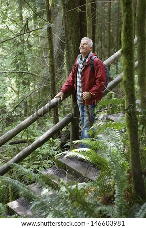 Smiling mature man on stairs looking up in forest