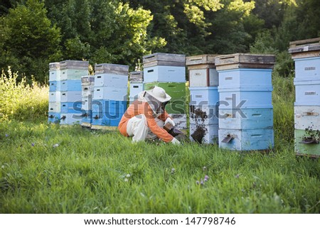 Full length of a male beekeeper tending beehives