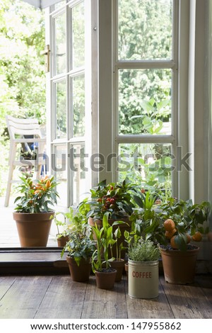 Potted Plants On Hardwood Floor By Open Door In House