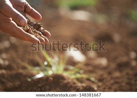 Closeup of farmer\'s hands pouring soil on land in farm