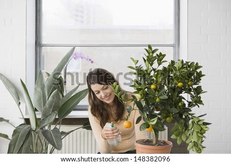 Happy beautiful woman spraying water on orange growing on plant in house