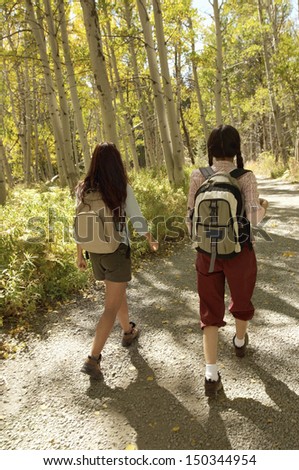 Full length rear view of two female hikers walking on path through forest
