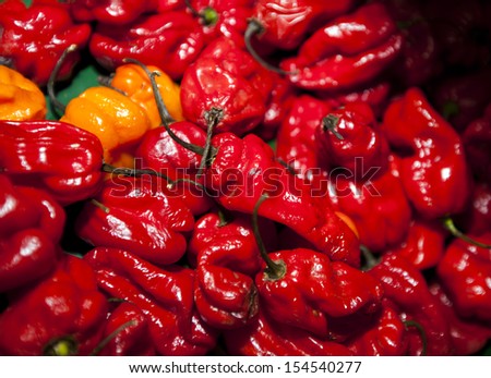 Close-up of red chillies in grocery store