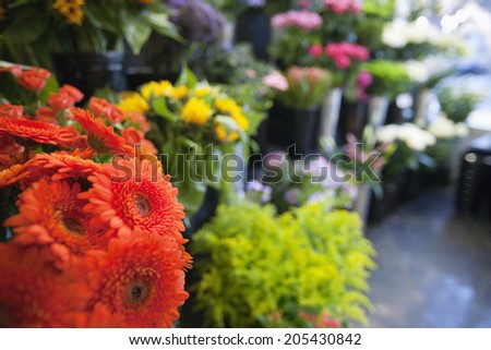 Fresh flowers at florist shop