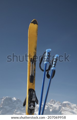 Ski poles and ski
