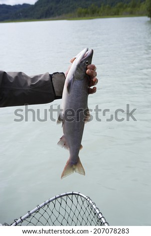 Person holding fish over net by river